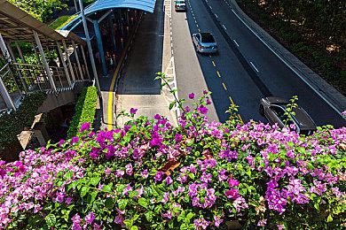鸟山明《沙漠大冒险》新宣传片 骑摩托车享受速度